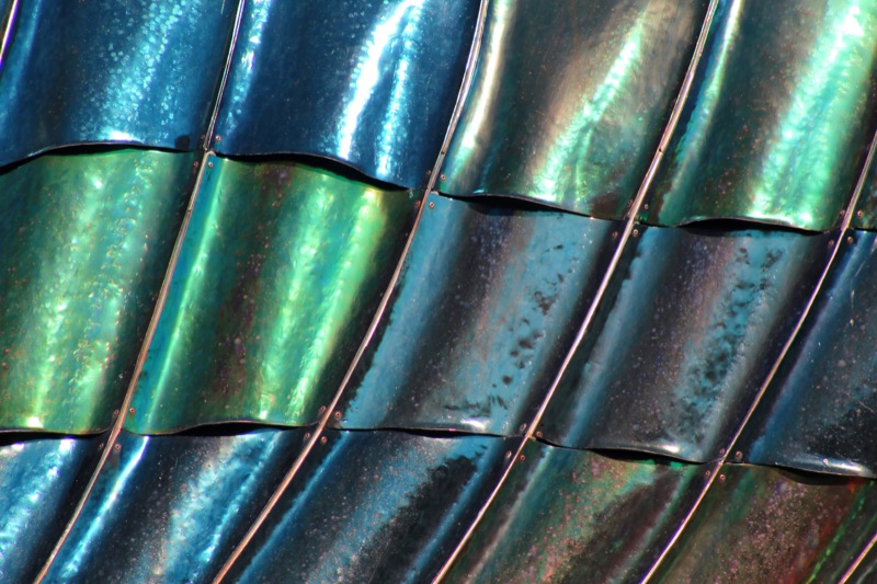 Professional Roof Cleaning services